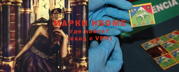 PSILOCYBIN Бородино