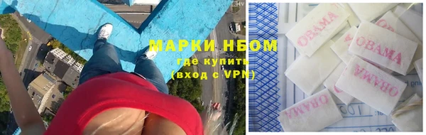 PSILOCYBIN Бородино