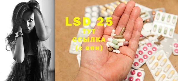 PSILOCYBIN Бородино