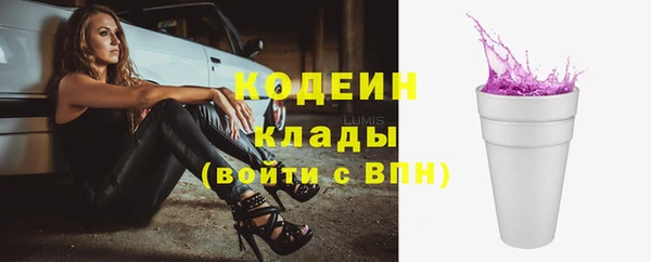 дживик Бронницы