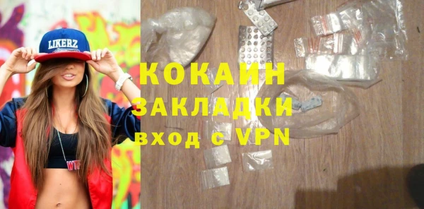 дживик Бронницы