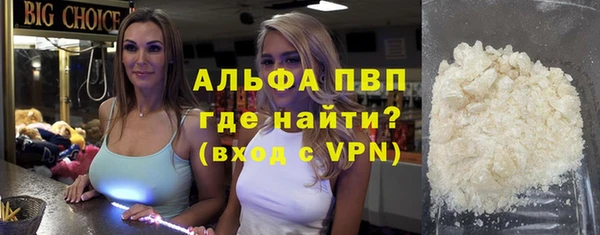 PSILOCYBIN Бородино